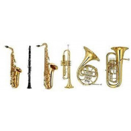  Cours d'instruments à vent