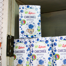 Infusion de Chicorée