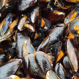 Moules 