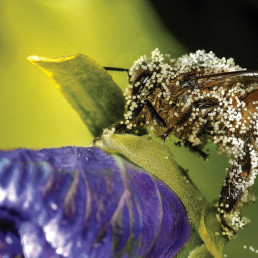 Atelier "Favorisons les...