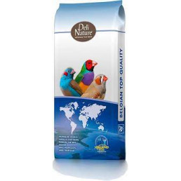 Mélange oiseaux éxotiques