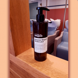 L'Oréal - Absolute repair...