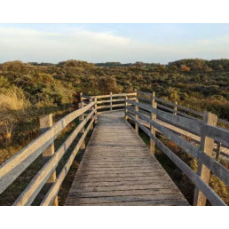 Jeu. 23 avril - Visite du...