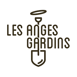 Fête de l'Epiphanie et...