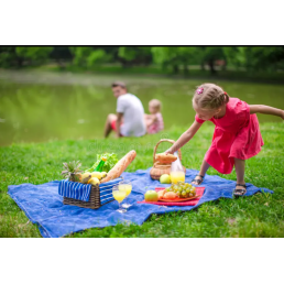 Jeux et pique-nique -...