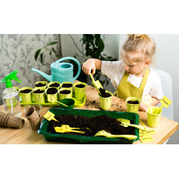 Jardinières d'été - jeudi 4...