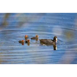 Mystères nocturnes 2