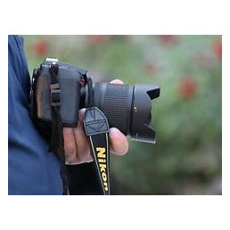 La nature dans l'objectif