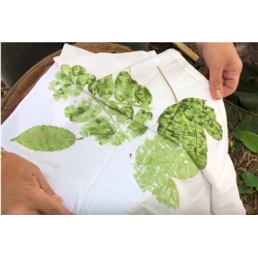 Couleurs de la nature