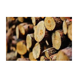 Une maison pour la faune !