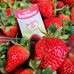 Fraises 500gr