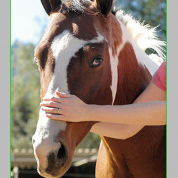 Soins énergétique et...